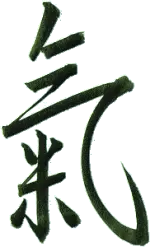 J.D. [Dennis] Niessink Praktijk voor Japanse en Chinese acupunctuur Sluislaan 30 2841 XS Moordrecht